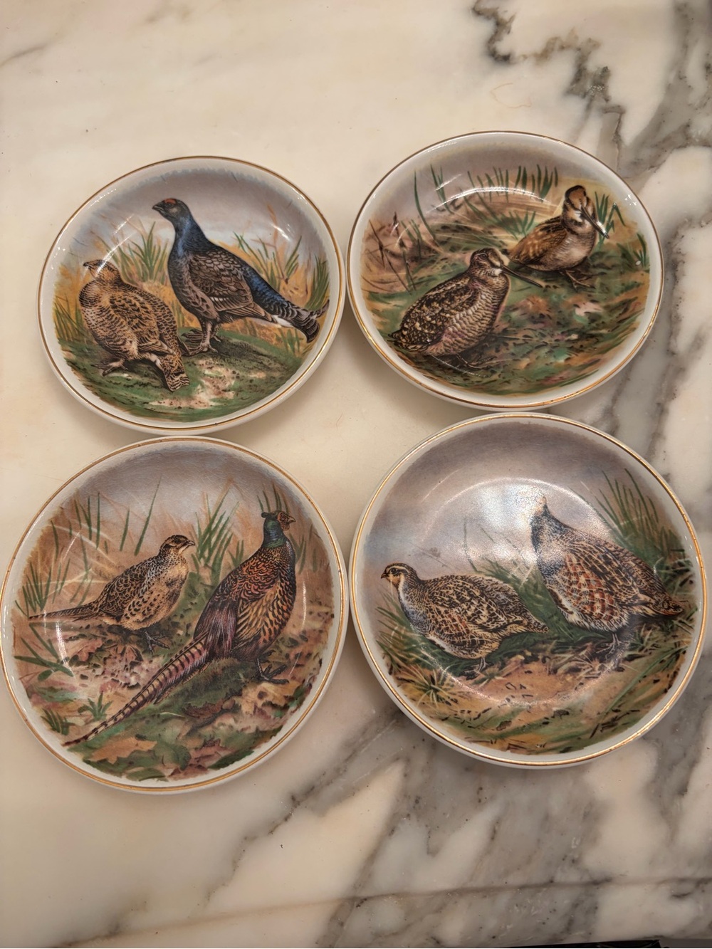 Wild Bird Coasters by Royal Tunstall Staffordshire Set of 4